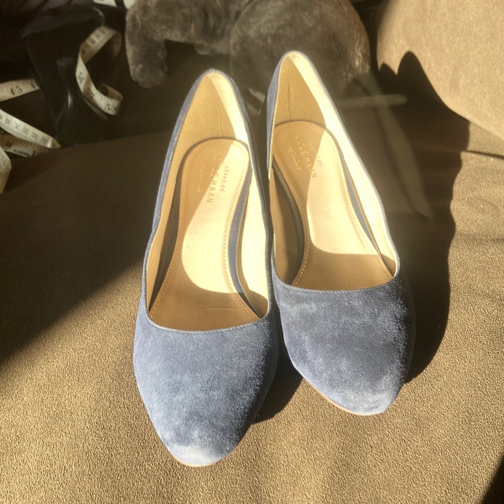 Cole Haan navy suede shoes